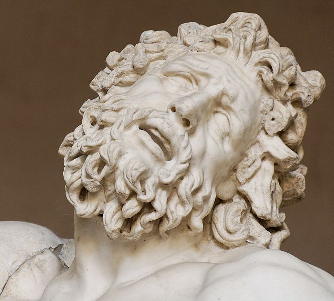 Laocoonte particolare viso