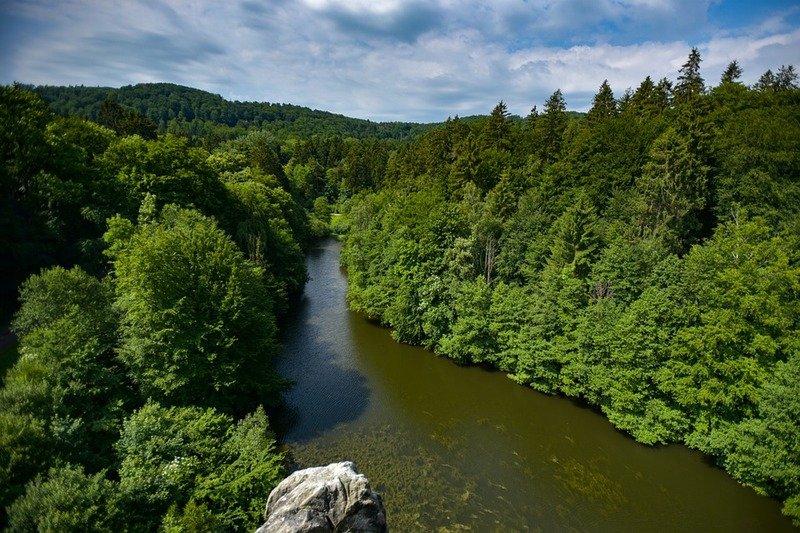 Selva foresta teotoburgo