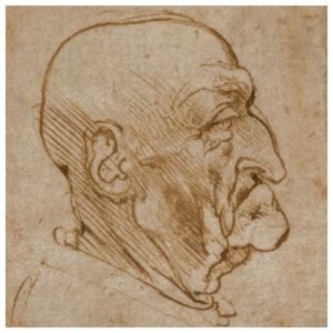 leonardo Da vinci codici