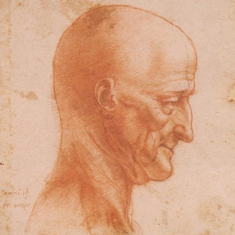 leonardo Da vinci codici melzi